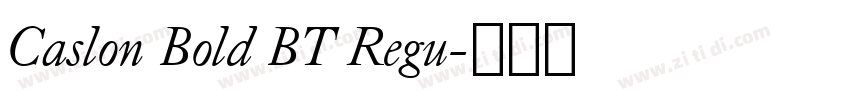 Caslon Bold BT Regu字体转换